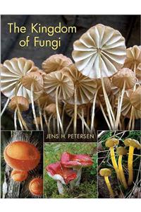 Kingdom of Fungi