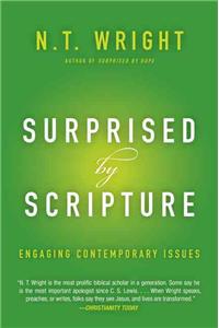 Surprised by Scripture