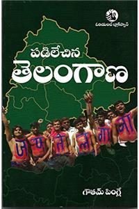 The Fall And Rise Of TELANGANA (TELUGU )