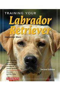 Training Your Labrador Retriever