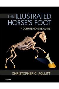 The Illustrated Horse's Foot