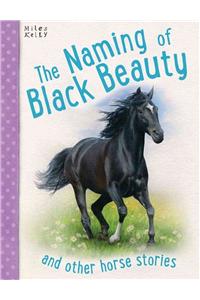 The Naming of Black Beauty: And Other Horse Stories, 5-8