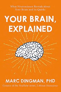 Your Brain, Explained