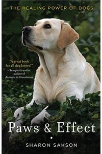Paws & Effect: The Healing Power of Dogs