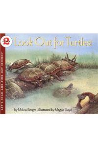 Look Out for Turtles