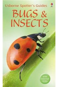 Bugs and Insects