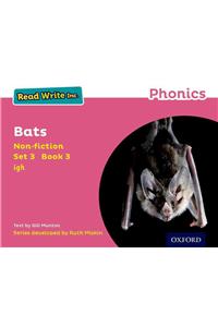 Read Write Inc. Phonics: Pink Set 3 Non-fiction 3 Bats