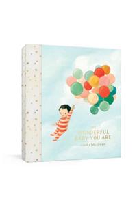 The Wonderful Baby You Are