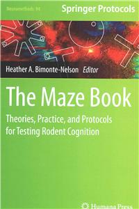 Maze Book