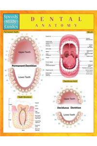 Dental Anatomy (Speedy Study Guides)