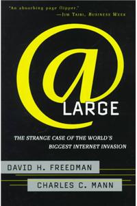 At Large: The Strange Case of the World's Biggest Internet Invasion