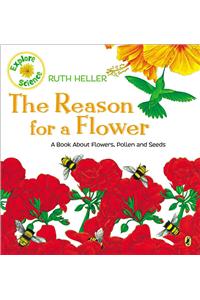 Reason for a Flower