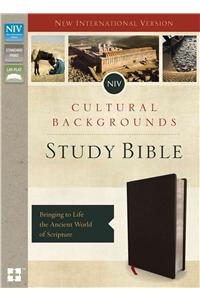 NIV, Cultural Backgrounds Study Bible, Bonded Leather, Black