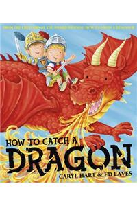 How To Catch a Dragon