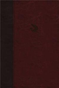 Spirit-Filled Life Bible