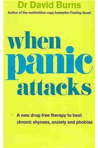 When Panic Attacks