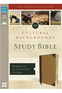 NIV, Cultural Backgrounds Study Bible, Imitation Leather