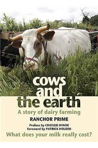 Cows and the Earth