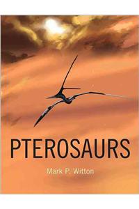 Pterosaurs