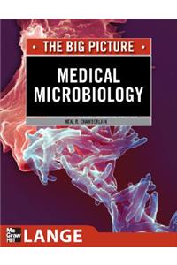 Medical Microbiology: The Big Picture