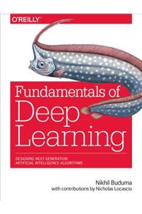 Fundamentals of Deep Learning