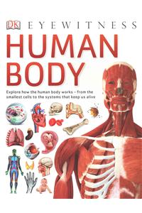 Human Body