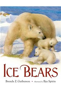 Ice Bears