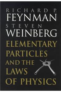 Elementary Particles and the Laws of Physics