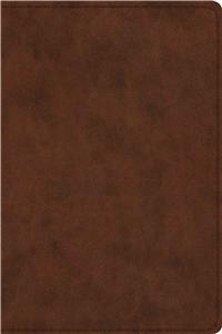 ESV Study Bible, Personal Size