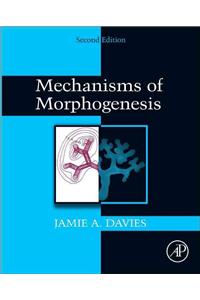 Mechanisms of Morphogenesis