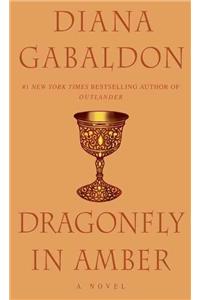 Dragonfly in Amber