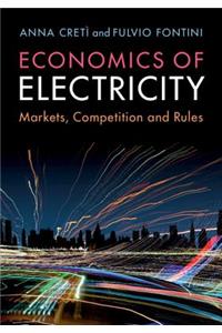 Economics of Electricity