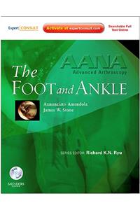 The Foot and Ankle