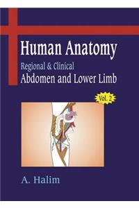 Human Anatomy: v. 2: Adomen and Lower Limb