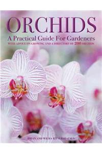 Orchids