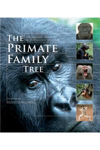 The Primate Family Tree