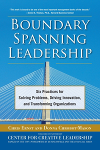 Boundary Spanning Leadership (Pb)