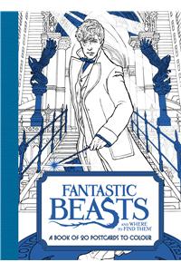 Fantastic Beasts and Where to Find Them: A Book of 20 Postcards to Colour