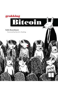 Grokking Bitcoin