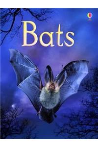 Bats