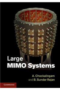 Large Mimo Systems