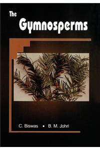 Gymnosperms