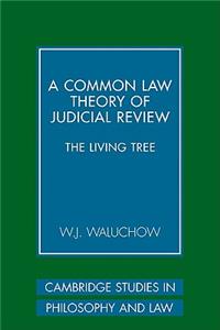 Common Law Theory of Judicial Review
