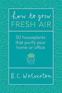 How To Grow Fresh Air