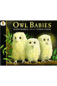 Owl Babies