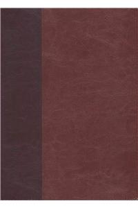 Every Man's Bible-NLT-Large Print