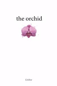 the orchid: the northern collection 2