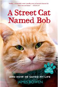 Street Cat Named Bob and How He Saved My Life