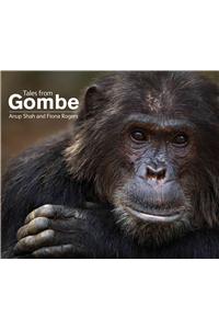 Tales from Gombe