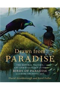 Drawn from Paradise: The Natural History, Art and Discovery of the Birds of Paradise with Rare Archival Art
